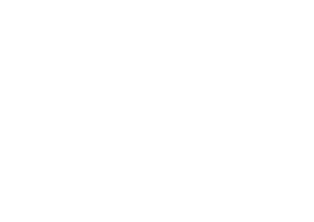 Otter.ai